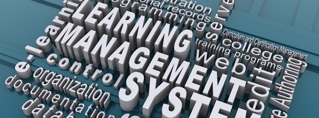 8 Tips to Launching a Successful Learning Management System